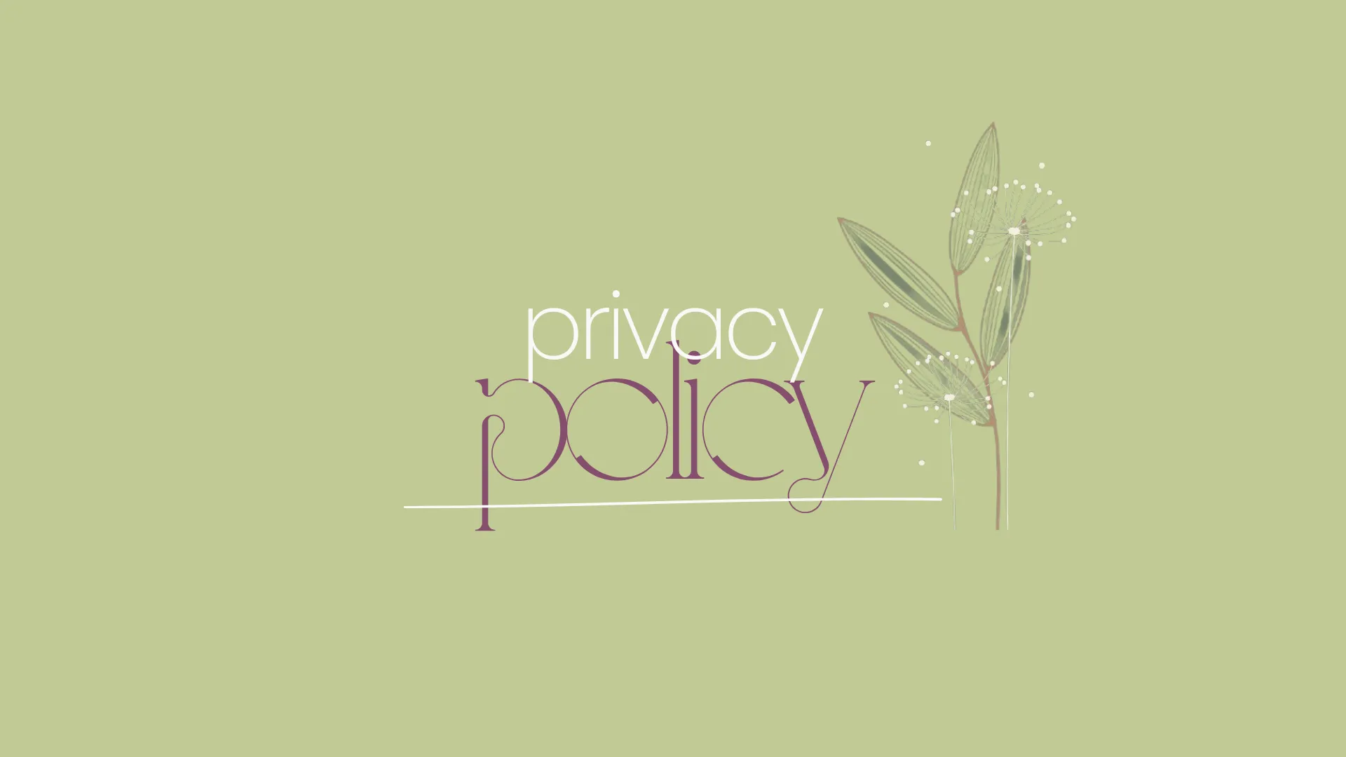 privacy policy page feature image for display purposes