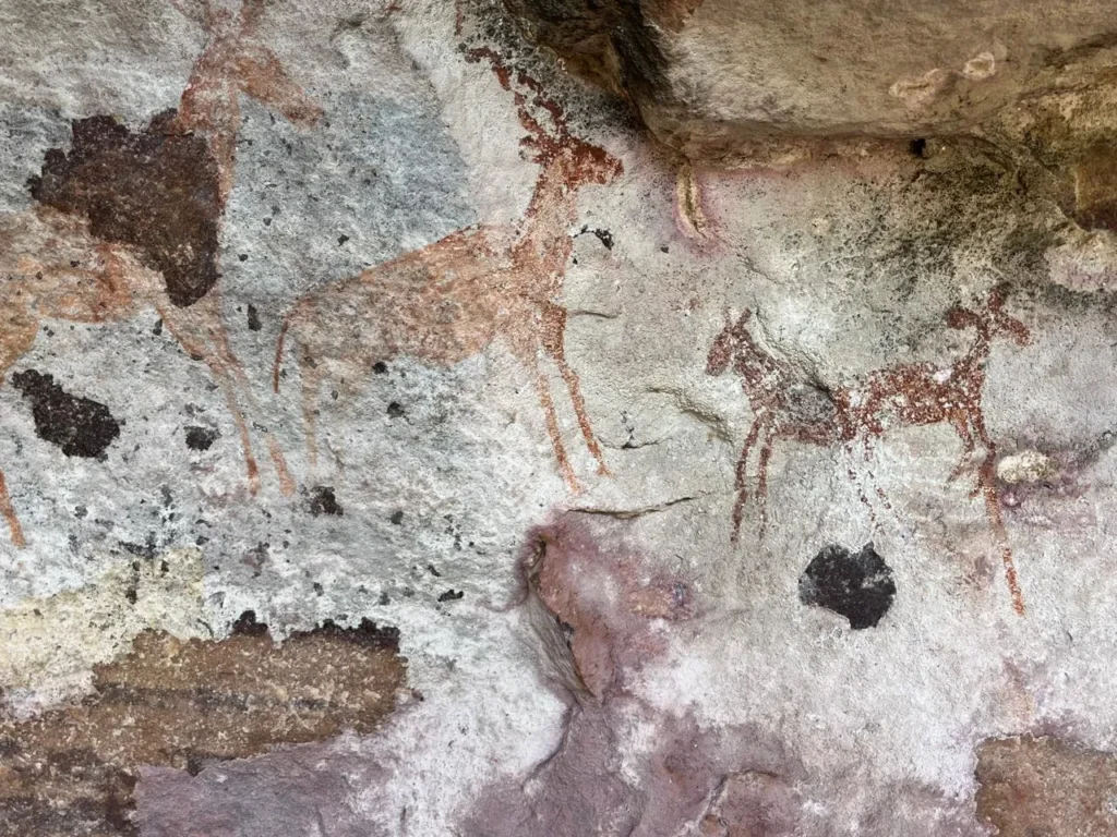 Visible-San-paintings-at-Makgabeng-Plateau-1024x768 9 Amazing Provinces of South Africa
