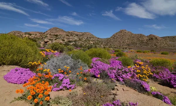 northerncapescenery 9 Amazing Provinces of South Africa