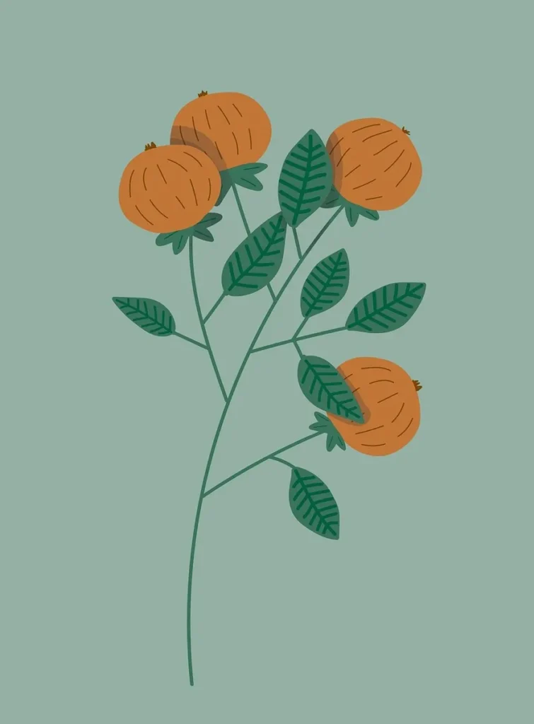 orange-flowers-8051759_1280-755x1024 The Power of Words: Discovering Ikigai